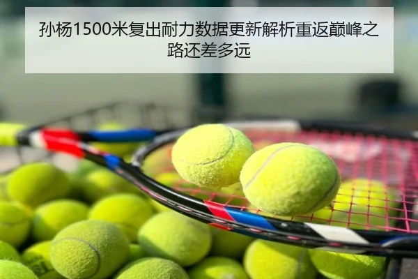孙杨1500米复出耐力数据更新解析重返巅峰之路还差多远